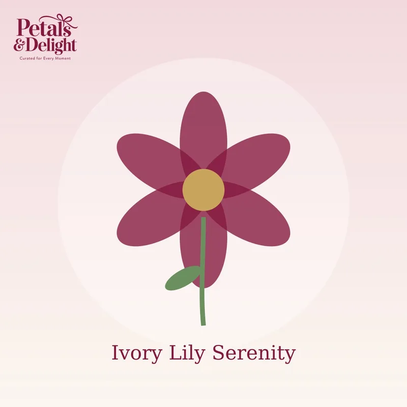 Ivory Lily Serenity